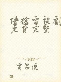 借枪电视剧全集免费完整封面