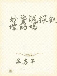 妙警贼探凯特是坏的吗