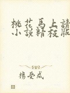 桃花马上请长缨小说精校版全集