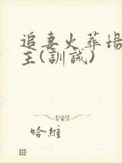 追妻火葬场双男主(训诫)