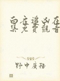 白夜追凶在线全集免费观看完整版