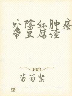 外阴红肿瘙痒白带豆腐渣封面