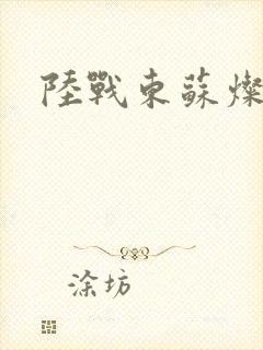 陆战东苏灿动漫封面