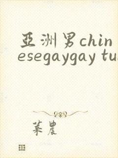 亚洲男chinesegaygay tube