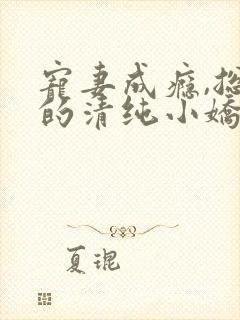 宠妻成瘾,总裁的清纯小娇妻