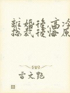 离婚后,高冷女总裁后悔原著小说