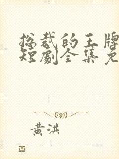 总裁的王牌保镖短剧全集免费播放封面