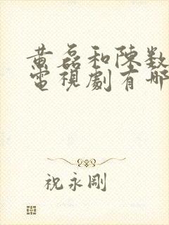 黄磊和陈数主演电视剧有哪些