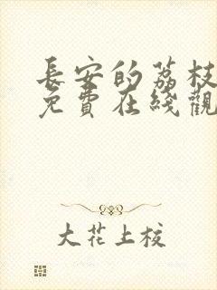 长安的荔枝全集免费在线观看封面