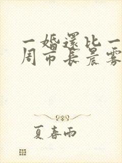 一婚还比一婚高周市长晨雾的光封面