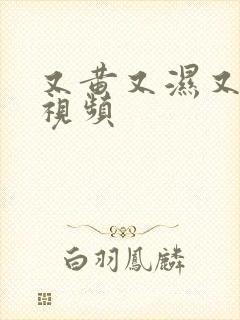 又黄又湿又色的视频