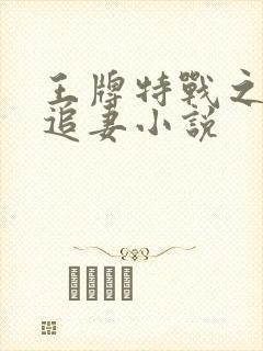 王牌特战之军少追妻小说