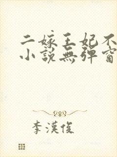 二嫁王妃不好惹小说无弹窗