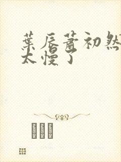 叶辰萧初然更新太慢了