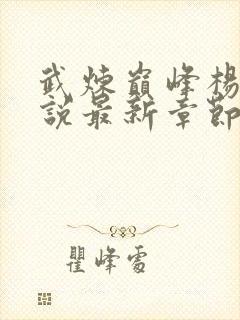 武炼巅峰杨开小说最新章节