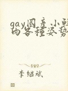 gay国产小鲜肉各种姿势