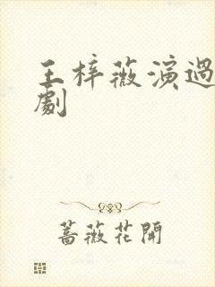 王梓薇演过哪些剧