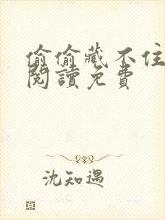 偷偷藏不住全文阅读免费