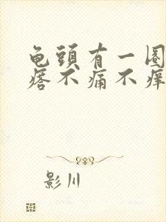 龟头有一圈小疙瘩不痛不痒封面