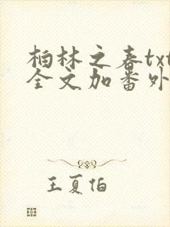 柏林之春txt全文加番外