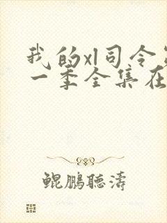 我的xl司令第一季全集在线观看完整版