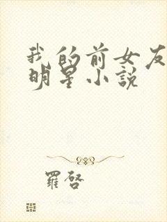 我的前女友是大明星小说
