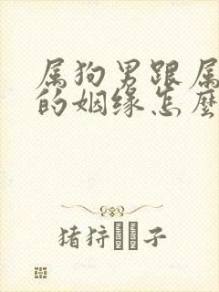 属狗男跟属鸡女的姻缘怎么样