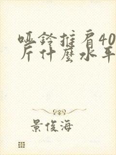 哑铃推肩40公斤什么水平