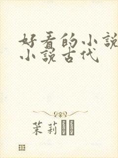 好看的小说言情小说古代