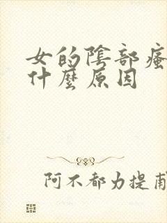 女的阴部瘙痒是什么原因