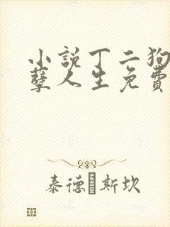 小说丁二狗的妖孽人生免费阅读