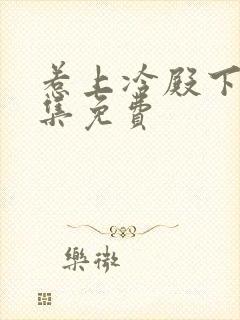 惹上冷殿下30集免费