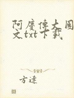 阿庆传大团结全文txt下载