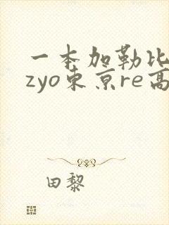 一本加勒比hezyo东京re高清