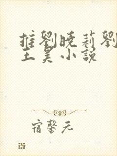 推刘晓莉刘亦菲王昊小说