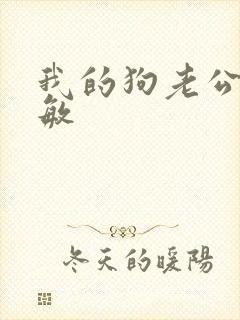 我的狗老公张淑敏