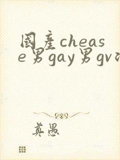 国产chease男gay男gv浪小辉
