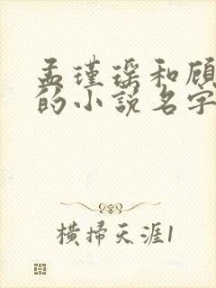 孟瑾瑶和顾景熙的小说名字封面