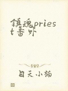 镇魂priest番外