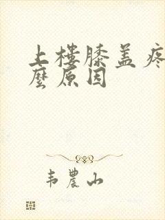 上楼膝盖疼是什么原因