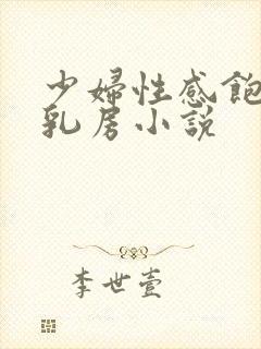 少妇性感饱满的乳房小说封面