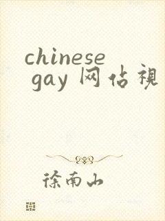 chinese gay 网站视频