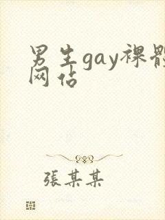 男生gay裸体网站