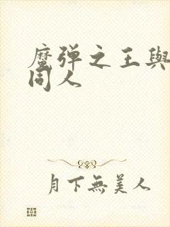 魔弹之王与战姬同人