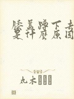 膝盖蹲下去就痛是什么原因封面