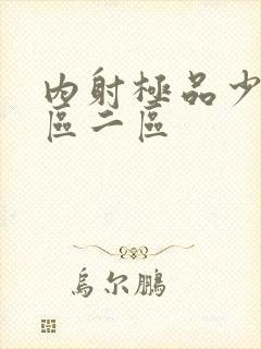 内射极品少妇一区二区封面