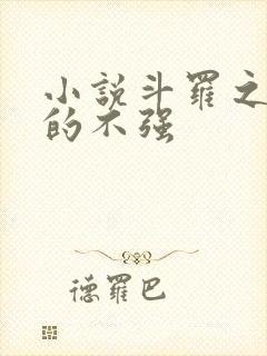 小说斗罗之我真的不强