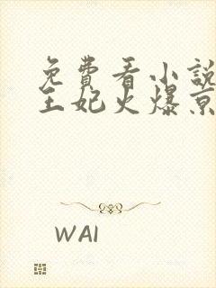 免费看小说全能王妃火爆京城封面