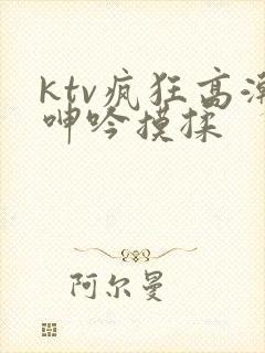 ktv疯狂高潮呻吟摸揉