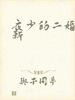 夜少的二婚新妻新